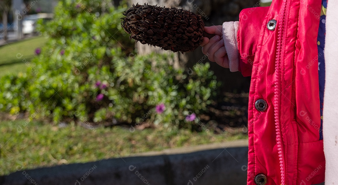 Pinha na mão de uma criancinha com fundo de flores na grama