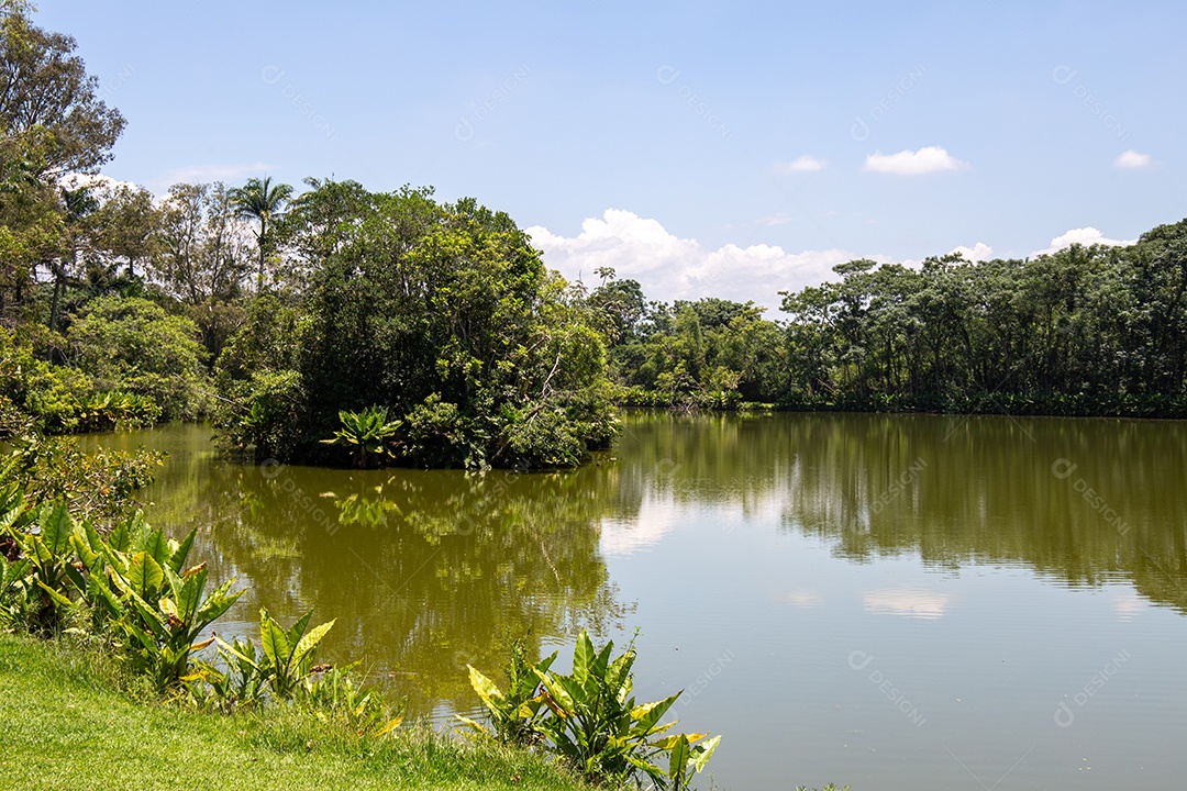 Parque Burle Marx - Parque da Cidade, em São José dos Campos, SP. Belo lago com árvores típicas.