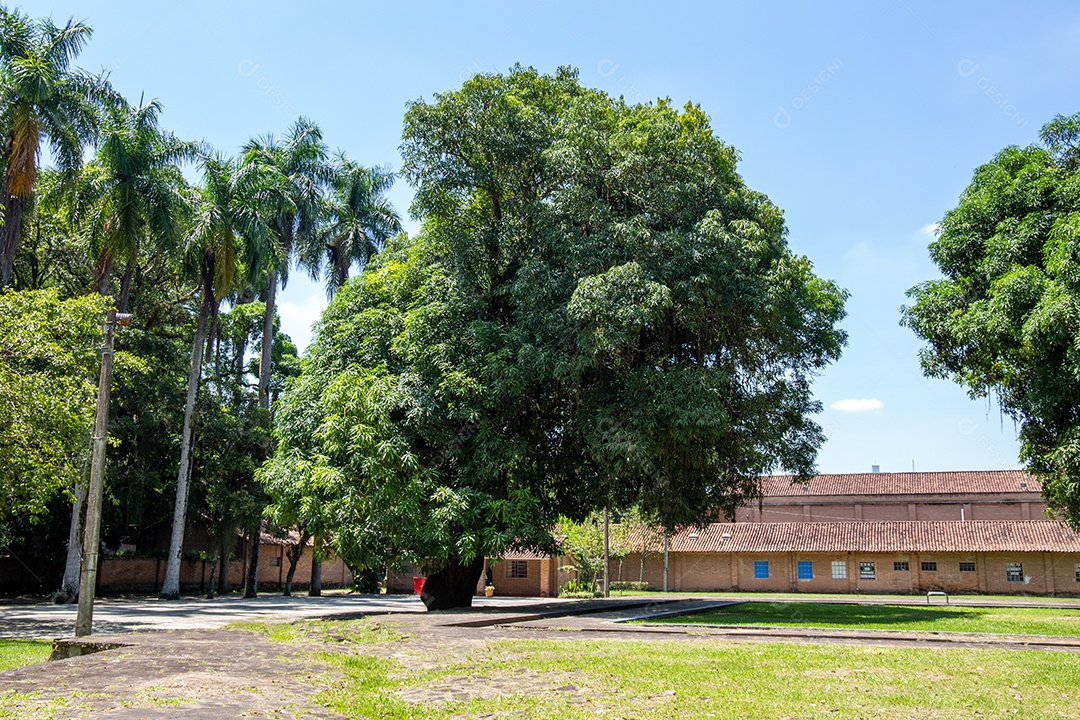 Parque Burle Marx - Parque da Cidade, em São José dos Campos, SP. Casa do folclore brasileiro.