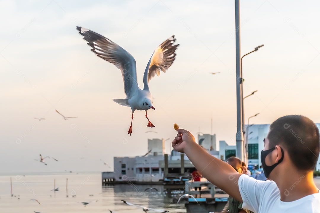 Gaivota voando alto no vento. gaivota voadora.