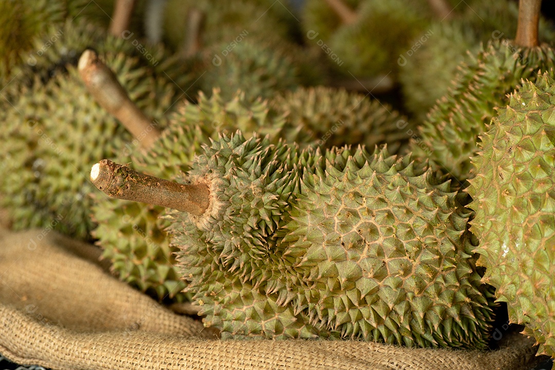 Durião Plantas empilhados