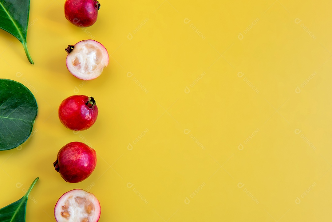 Folhas e Frutos Cattley goiabeira, frutos vermelhos Psidium bovinoyanum