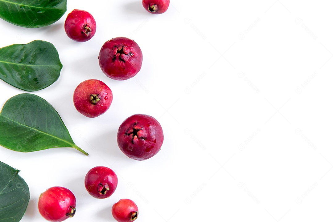 Goiaba vermelha de Cattley em fundo branco (Psidium Cattleyanum