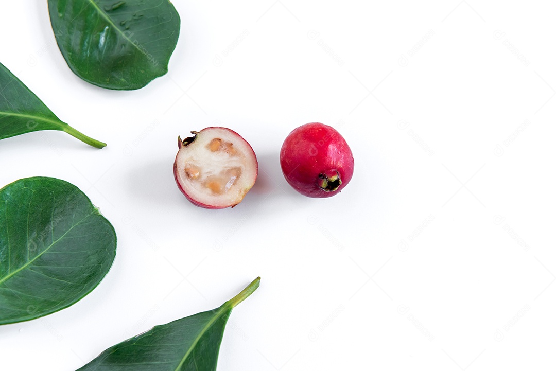 Goiaba vermelha de Cattley em fundo branco (Psidium Cattleyanum