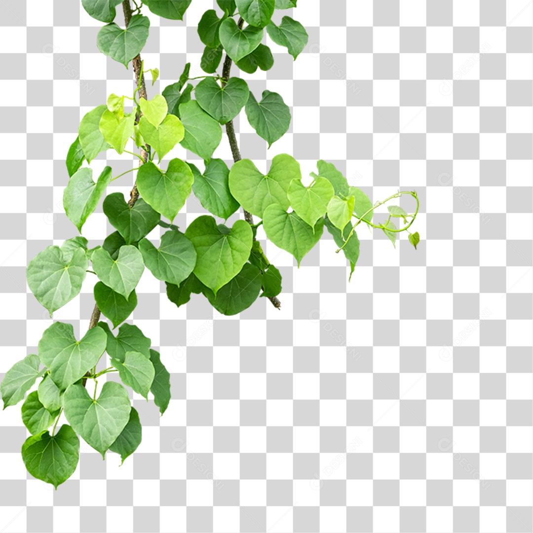 Arbusto de Flores PNG Transparente