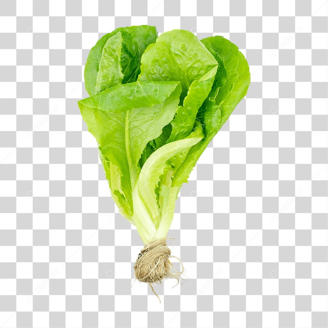 Alface alimento PNG Transparente