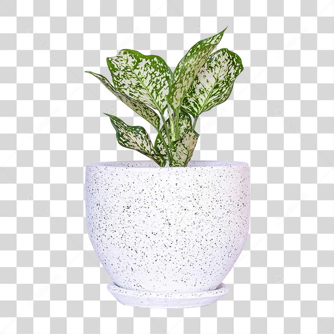 Vaso com Planta Verde PNG Transparente