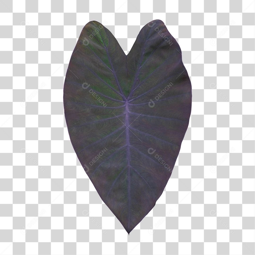 Folha PNG Transparente