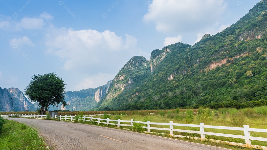 Paisagem de montanha e uma árvore