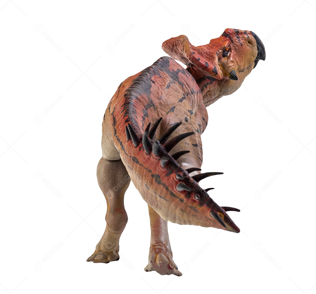 Protoceratops, dinossauro no fundo isolado