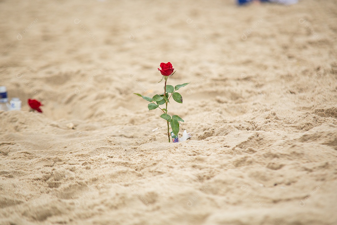 Flores em homenagem a iemanjá, durante festa na praia de Copacabana.