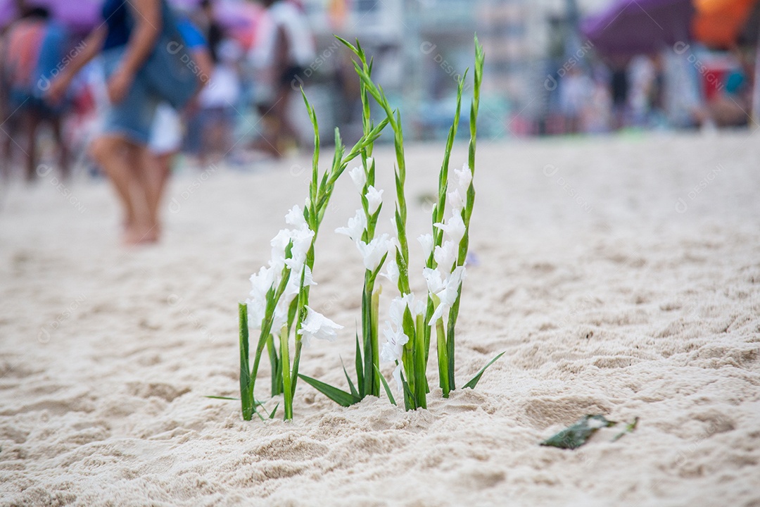 Flores em homenagem a iemanjá, durante festa na praia de Copacabana.