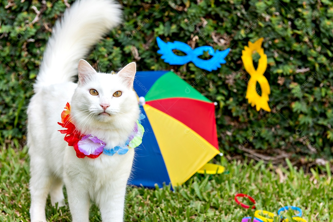 Carnaval de animais de estimação brasileiro, lindo gato branco em fantasia de carnaval