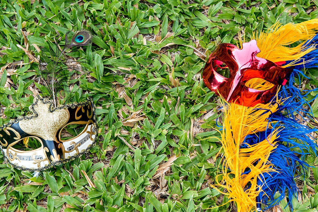 itens de carnaval do brasil na grama, festa de carnaval do brasil