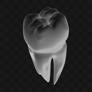 Dente - Modelo 3D