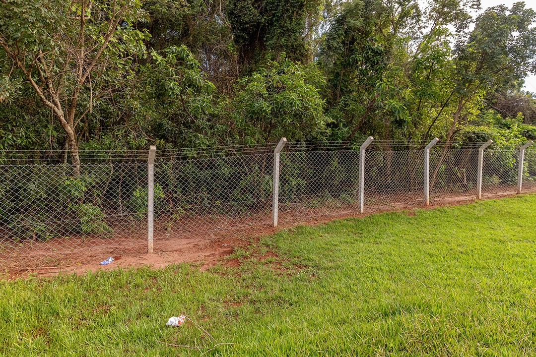 Cerca com postes de concreto e tela de arame separando uma área de grama baixa de uma área de floresta