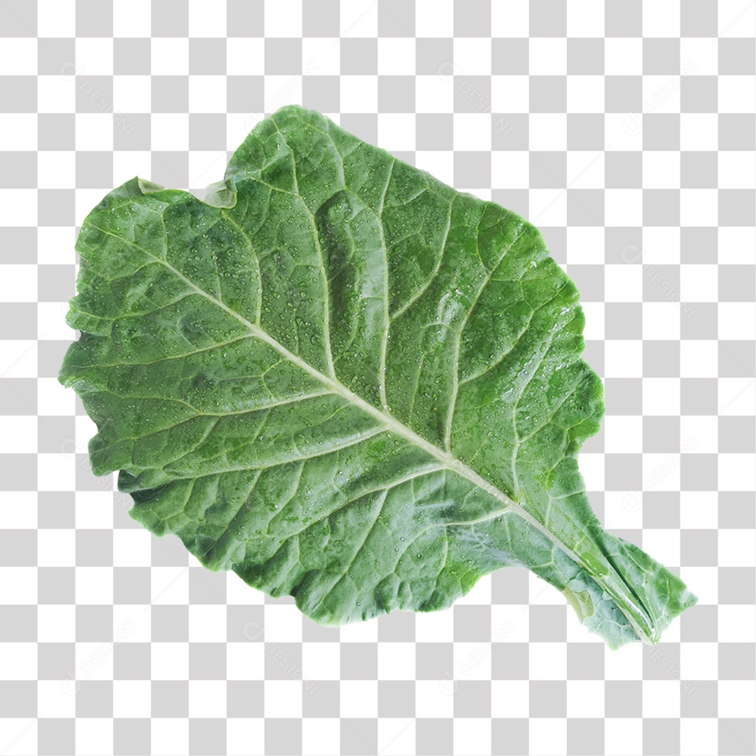 Couve Legumes Saladas PNG Transparente