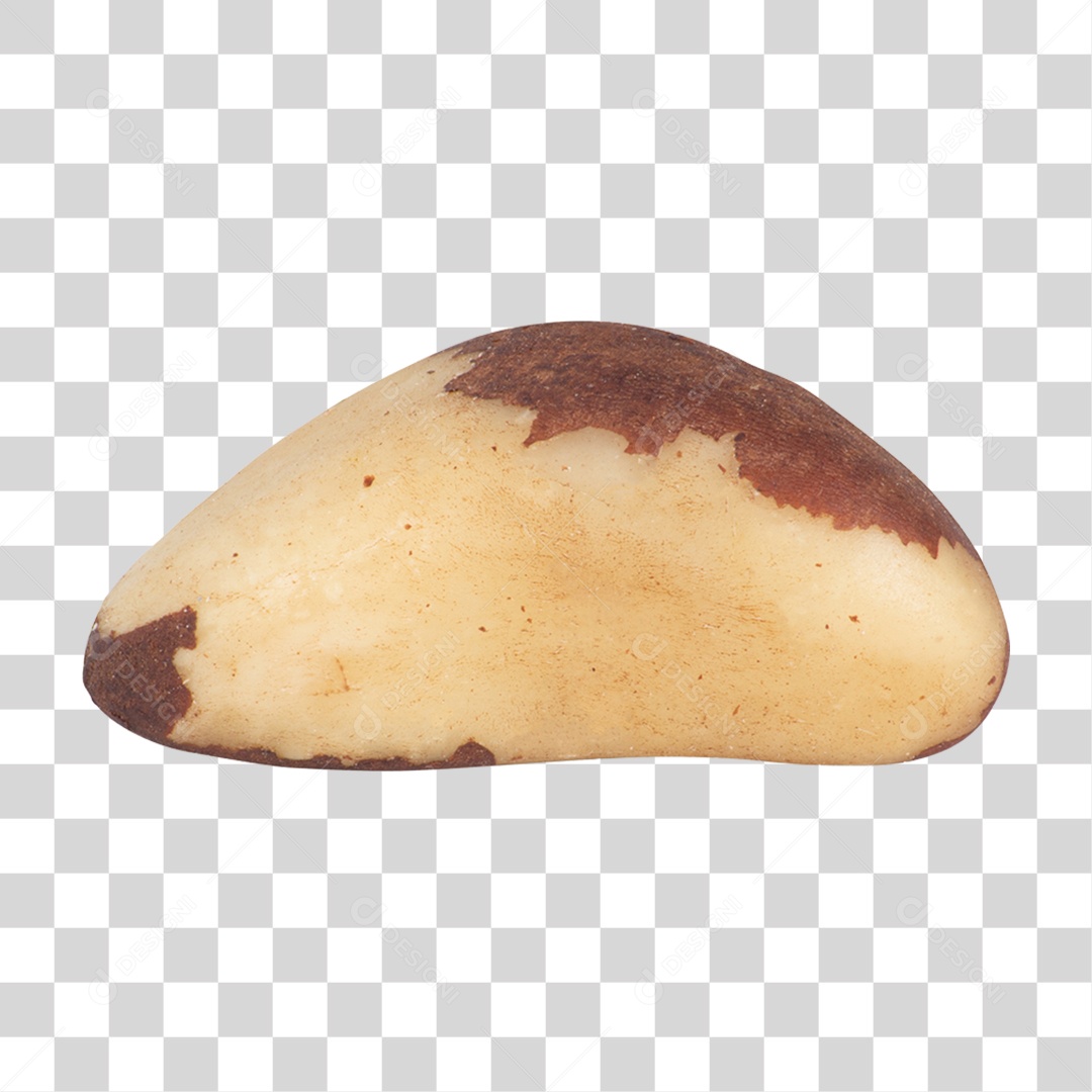 Castanha PNG Transparente