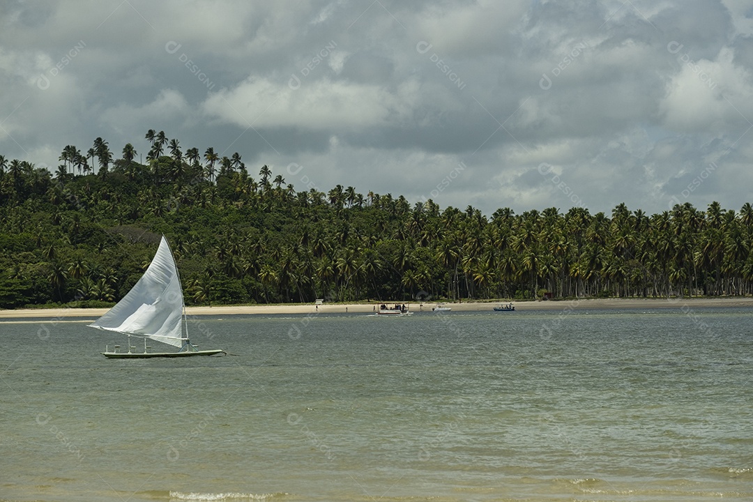 Pequeno barco à vela no mar em dia ensolarado