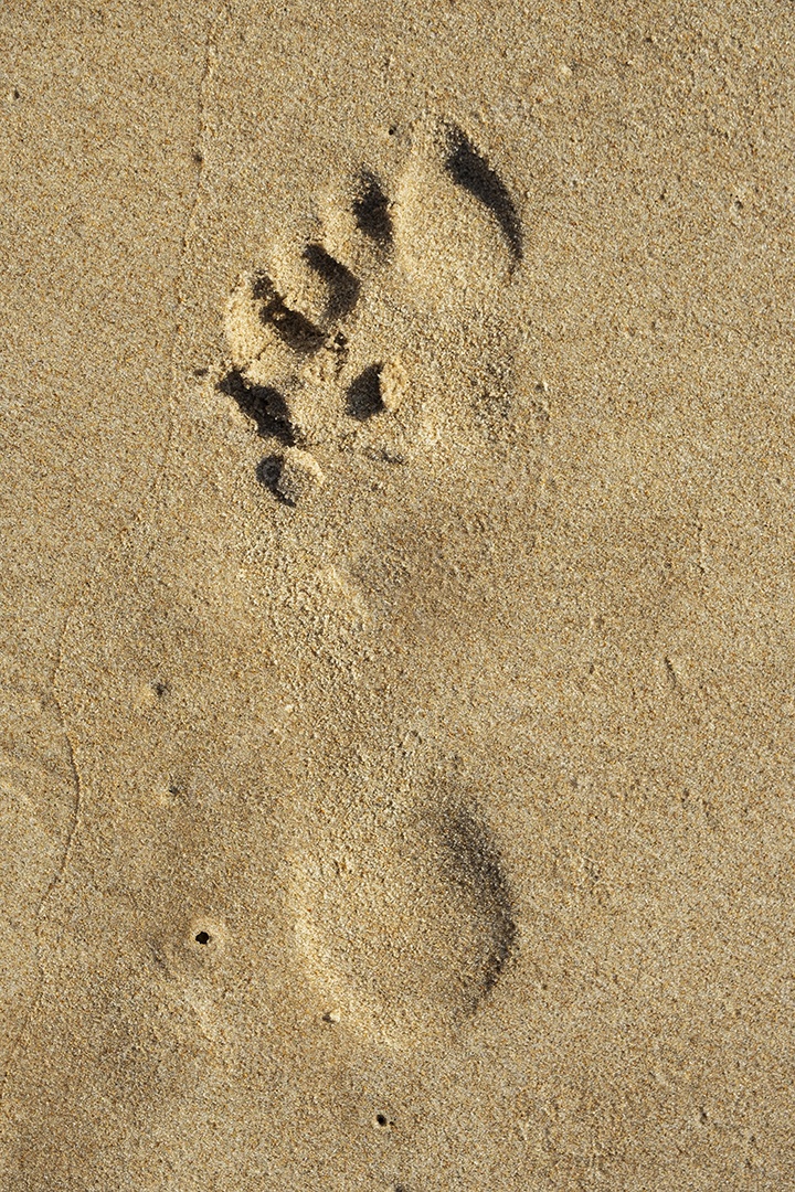 pegada humana do pé esquerdo na areia da praia