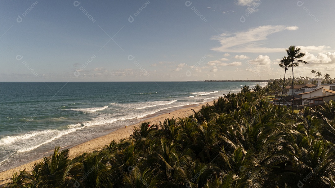 Coqueiros em frente à praia com ondas ao entardecer