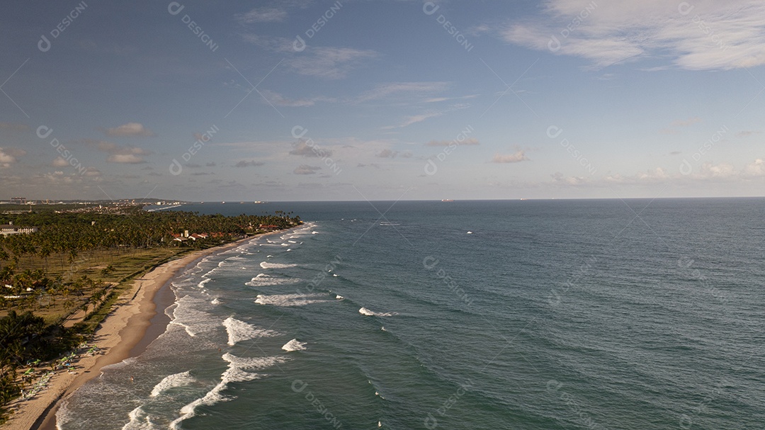 Coqueiros em frente à praia com ondas ao entardecer