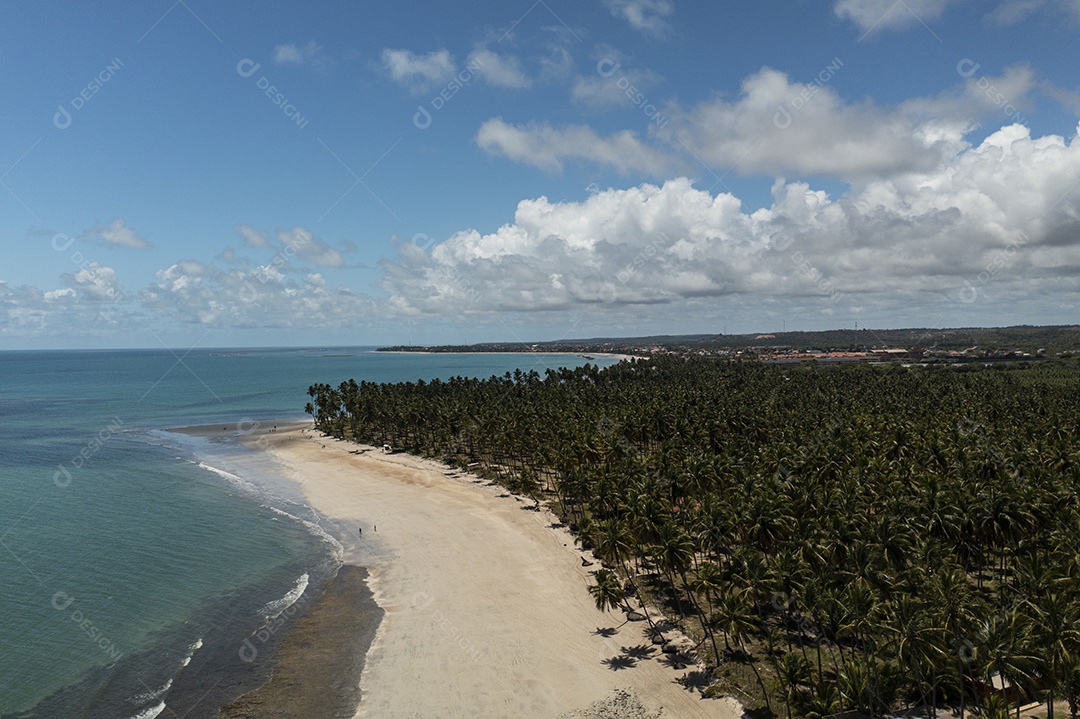 coqueiros, areia da praia e mar azul em dia de sol