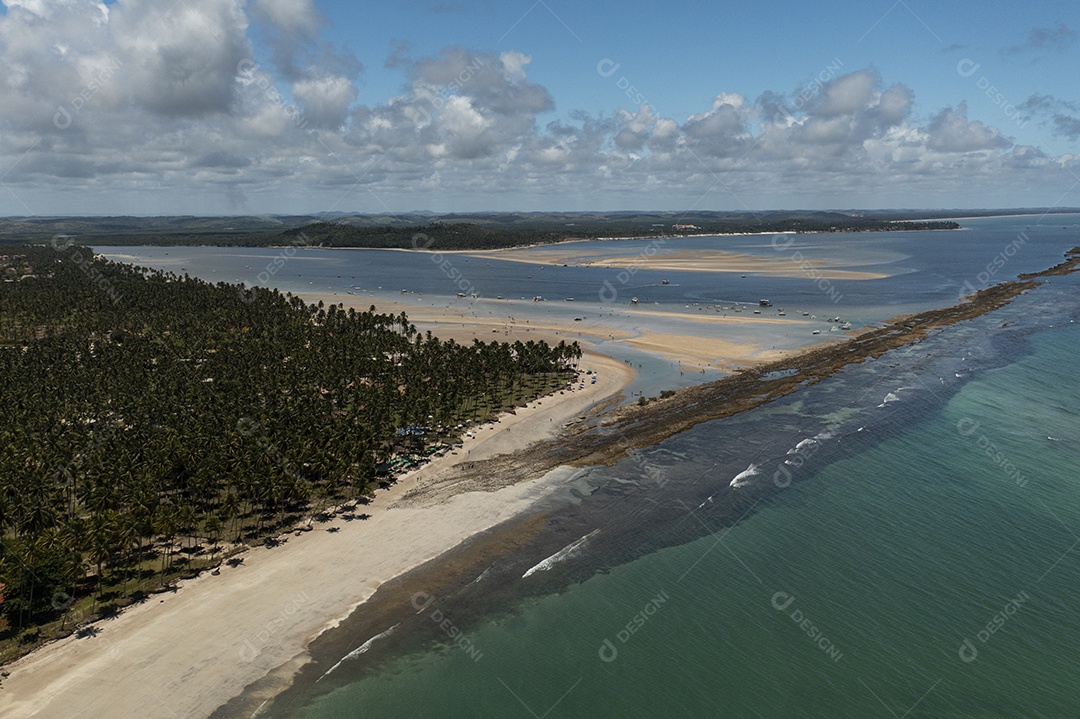 coqueiros, areia da praia e mar azul em um dia ensolarado na Praia