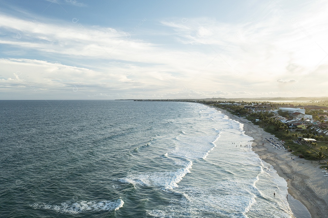 Coqueiros em frente à praia com ondas ao entardecer