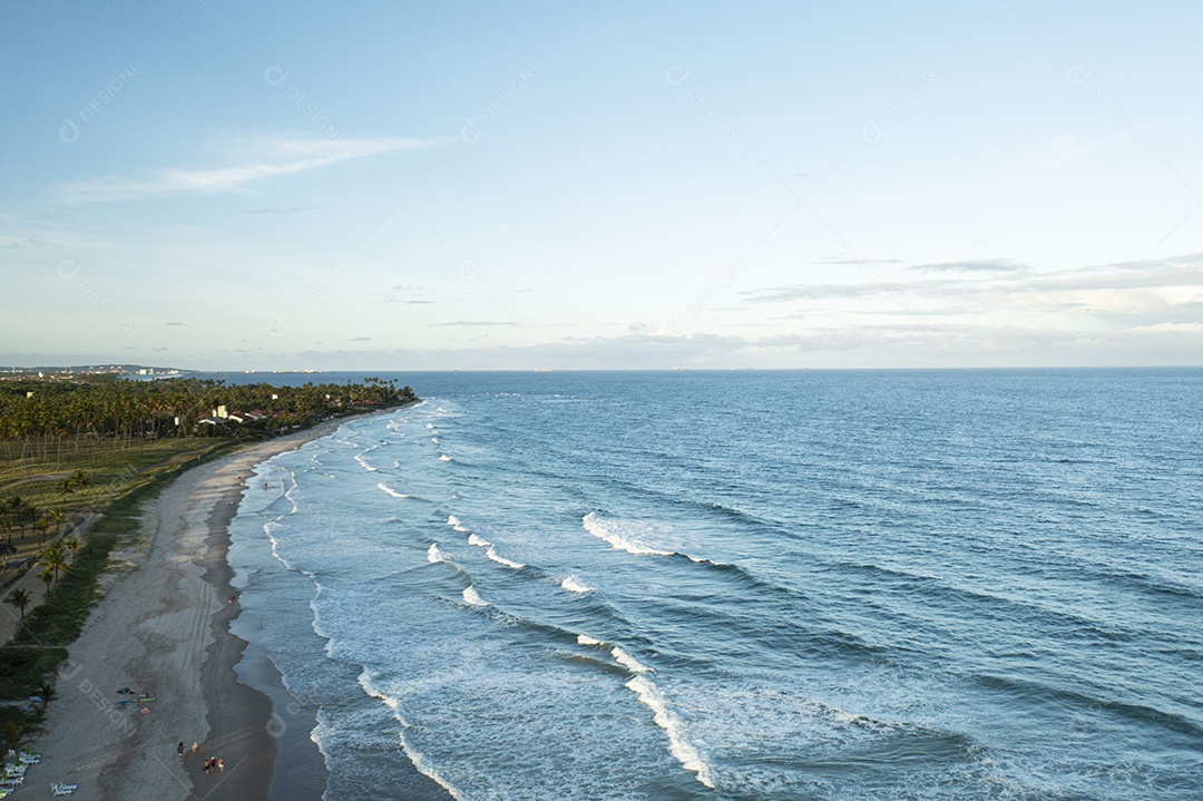 Coqueiros em frente à praia com ondas ao entardecer