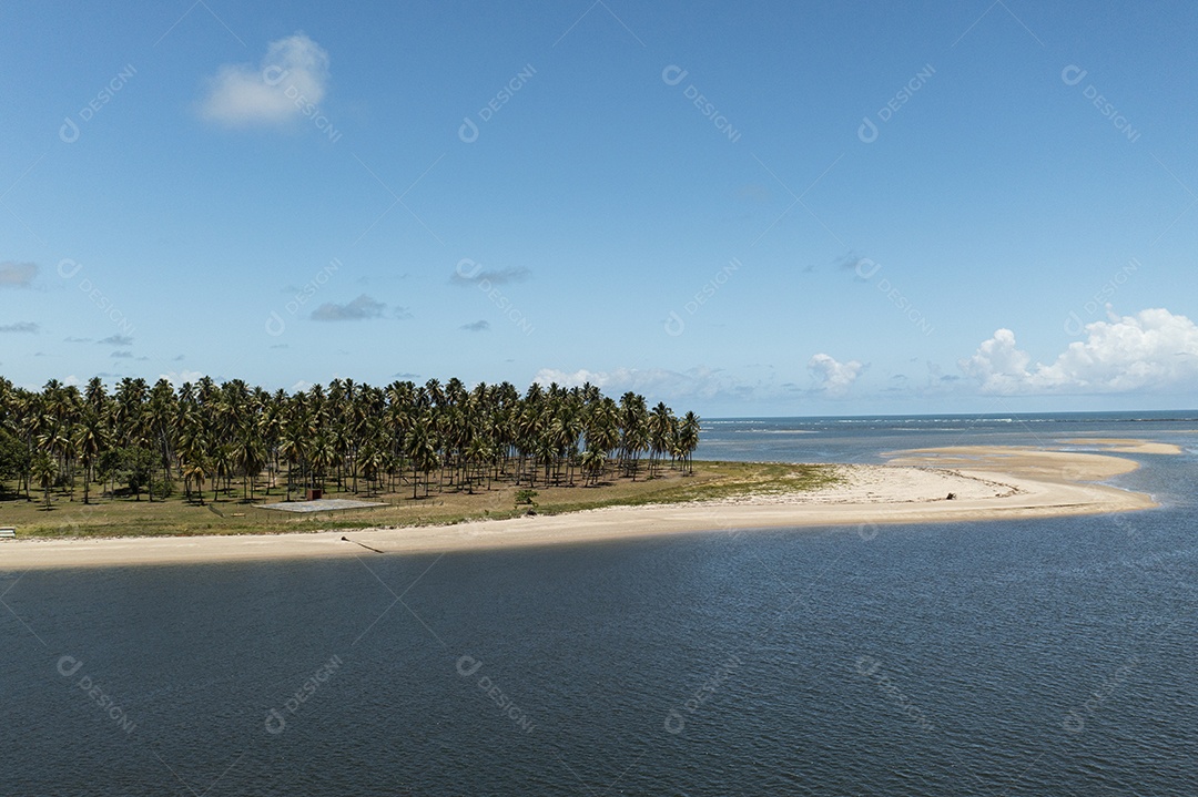 lugar onde o rio encontra o mar em praia dos carneiros