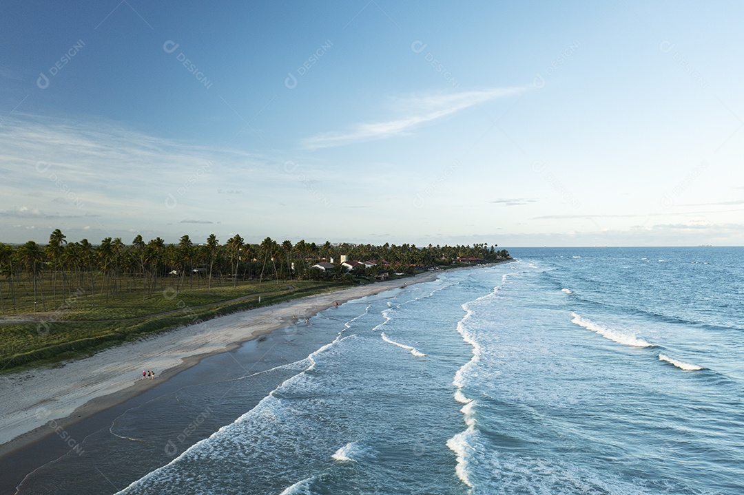Coqueiros em frente à praia com ondas ao entardecer