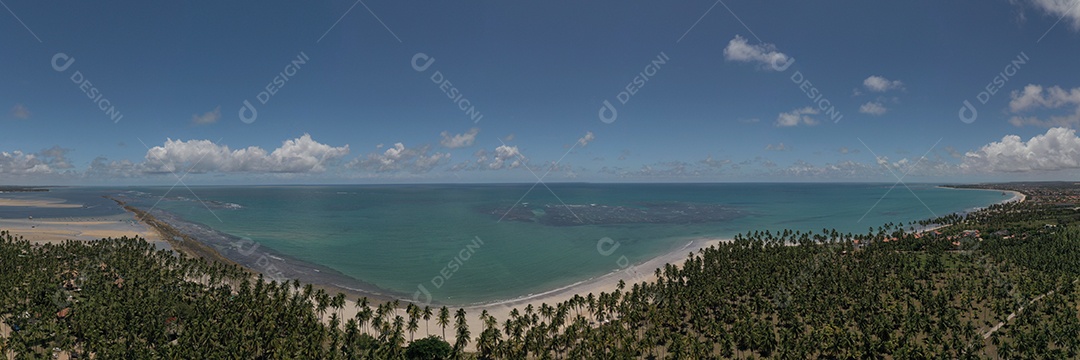 panoramic view of coconut trees at Praia dos Carneiros