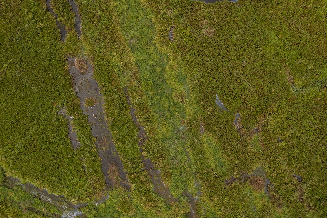 área rural parcialmente alagada vista de cima