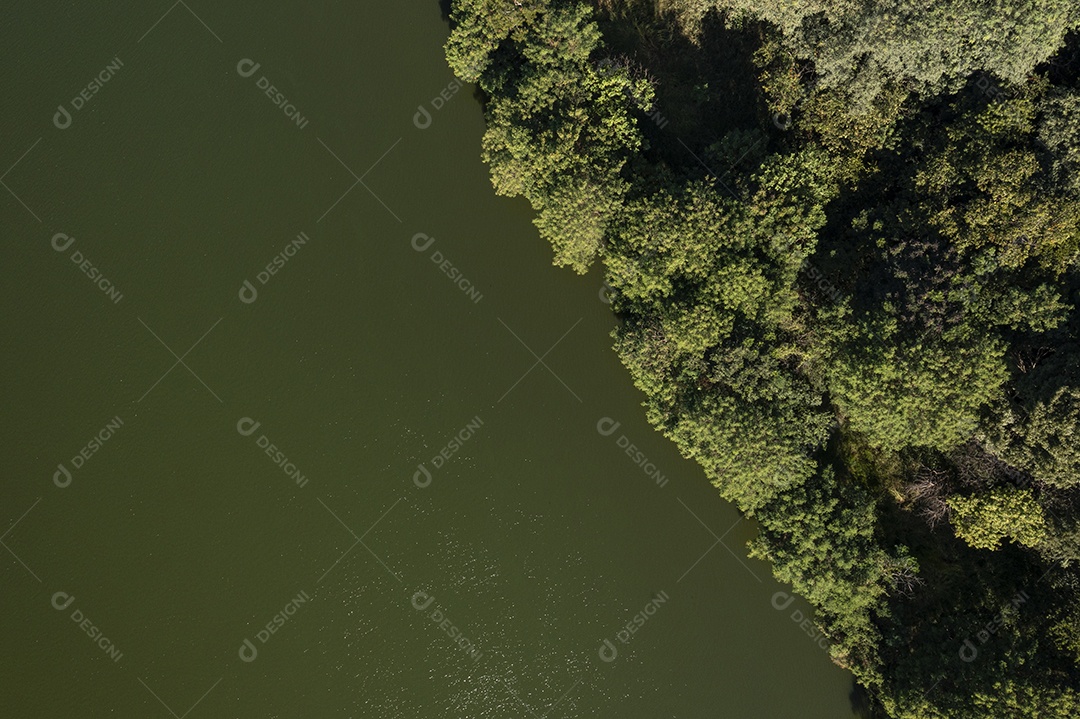 foto a 90 graus de rio e mata ciliar