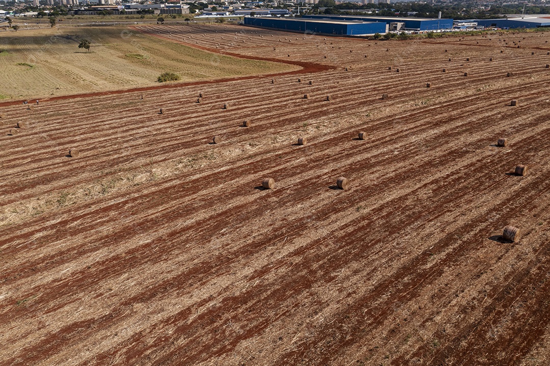 Solo preparado para receber plantio de cana de açúcar