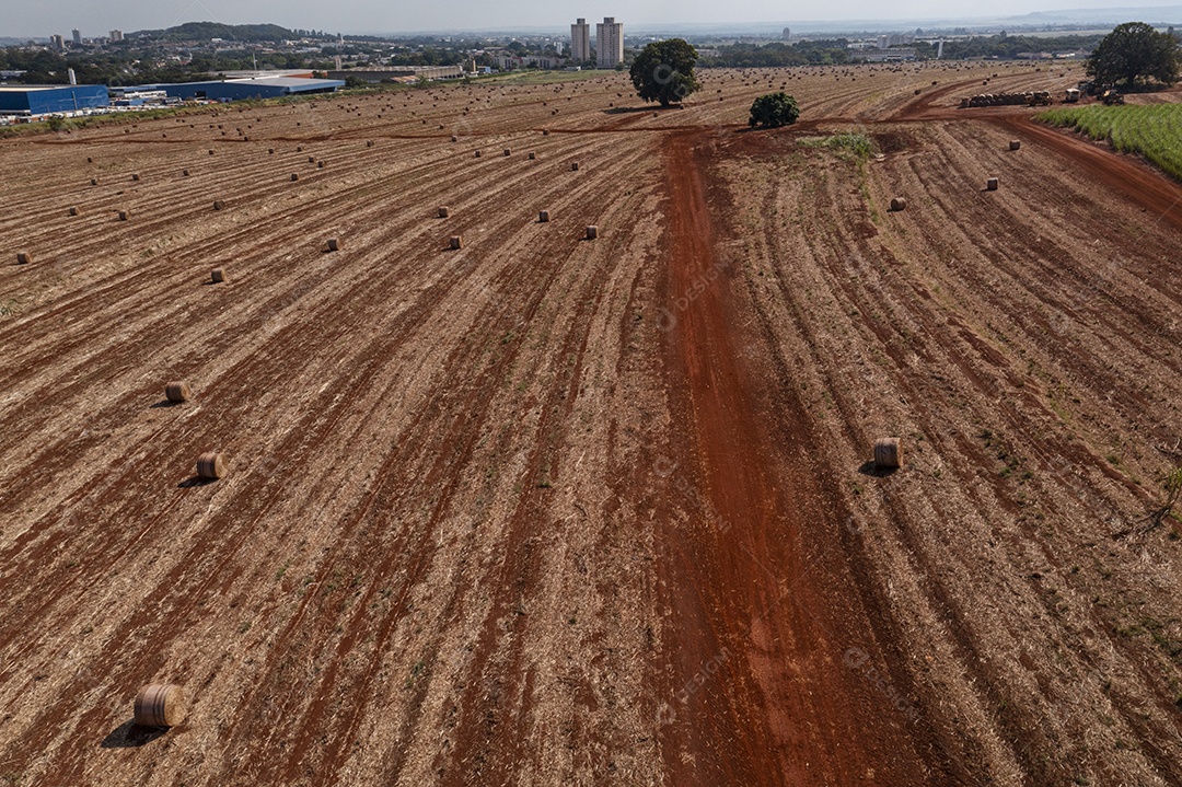 Solo preparado para receber plantio de cana de açúcar