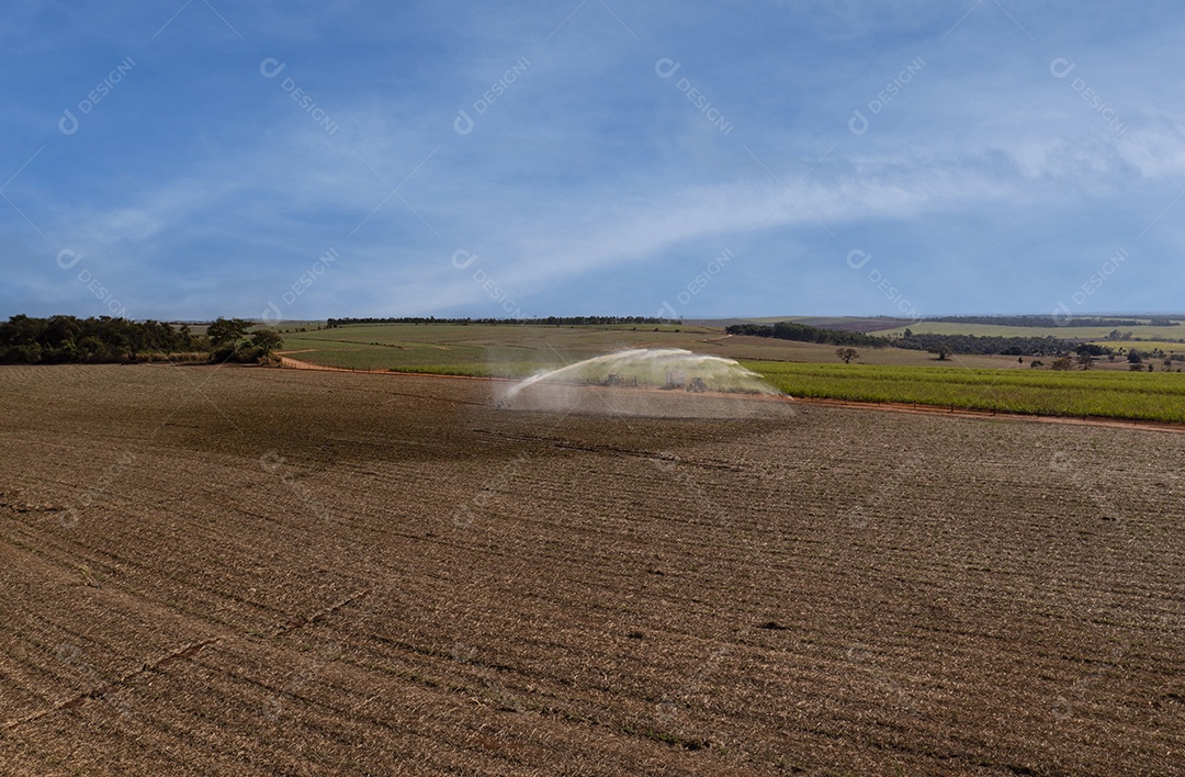 irrigação em campo de cana-de-açúcar recém-plantado em um dia ensolarado