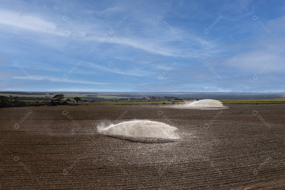 irrigação em campo de cana-de-açúcar recém-plantado em um dia ensolarado