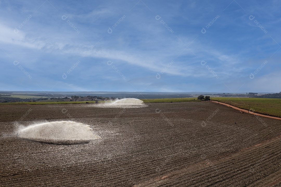 irrigação em campo de cana-de-açúcar recém-plantado em um dia ensolarado