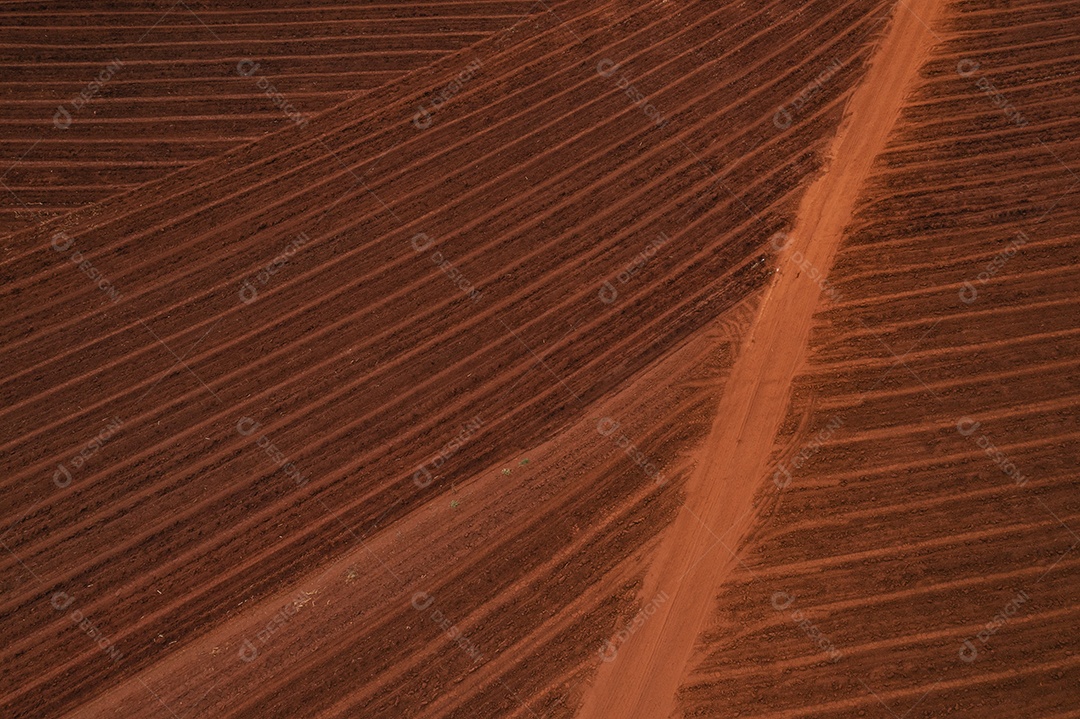 terreno preparado para receber o plantio de cana-de-açúcar