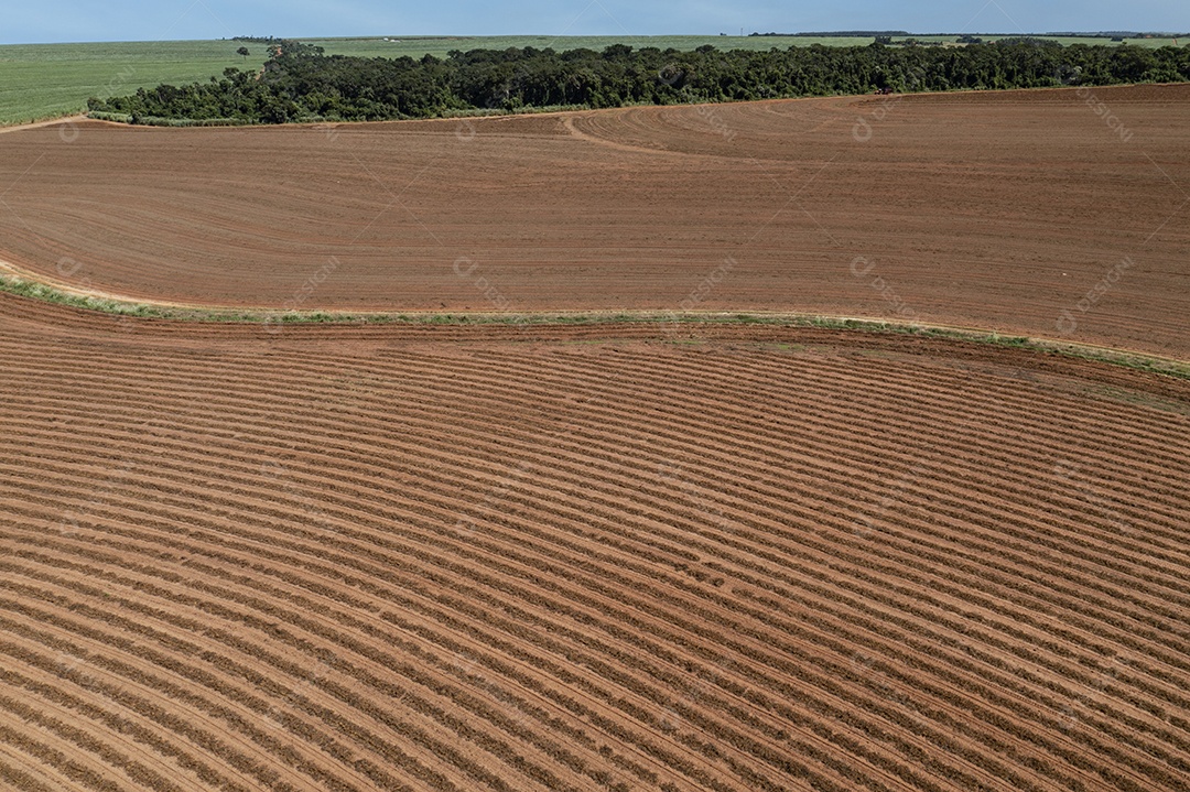 vista aérea do campo de cana-de-açúcar recém-plantado