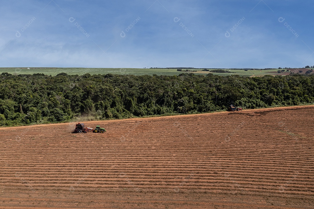 máquinas espalhando palha em solo de cana-de-açúcar recém-plantado