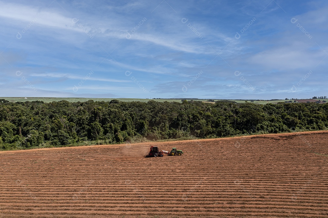 máquinas espalhando palha em solo de cana-de-açúcar recém-plantado