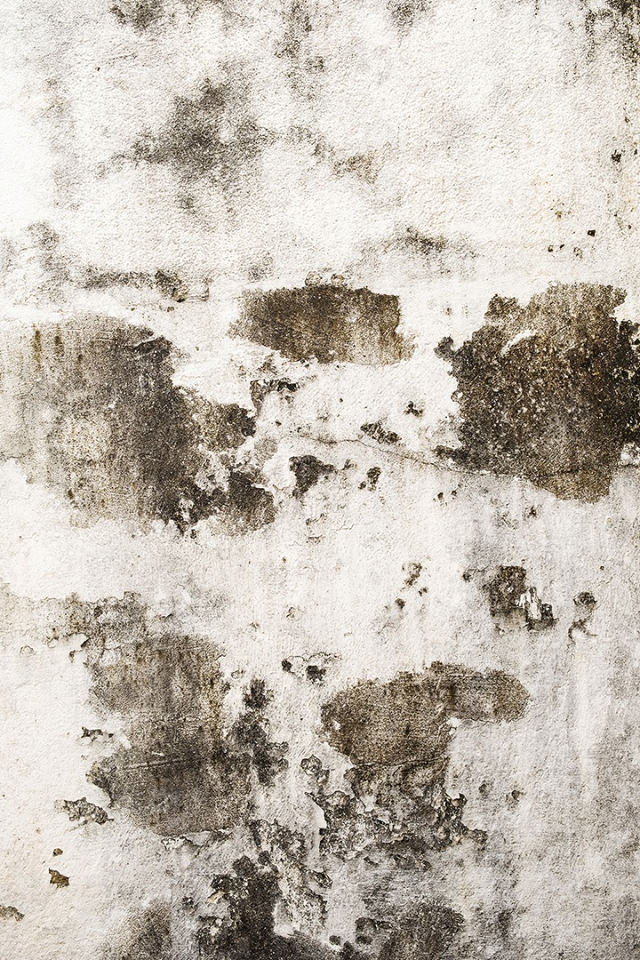 parede com manchas e fungos causados ​​pela humidade