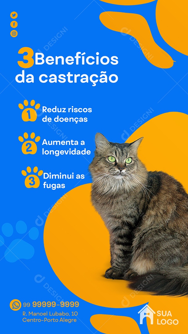 Story Petshop 3 Benefícios da Castração Social Media PSD Editável