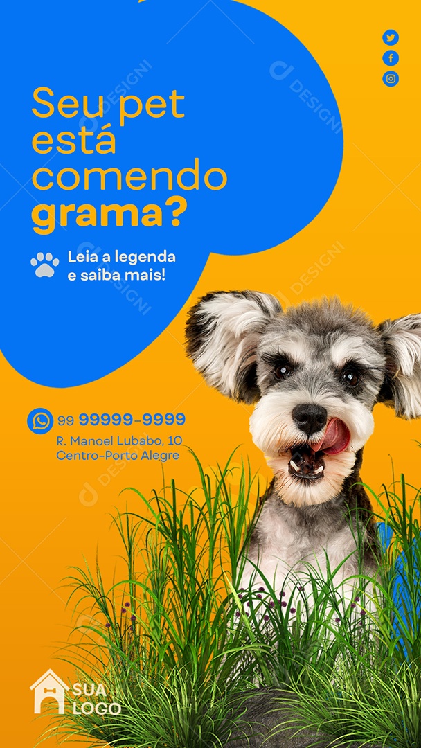 Story Seu Pet Está Comendo Grama Petshop Social Media PSD Editável