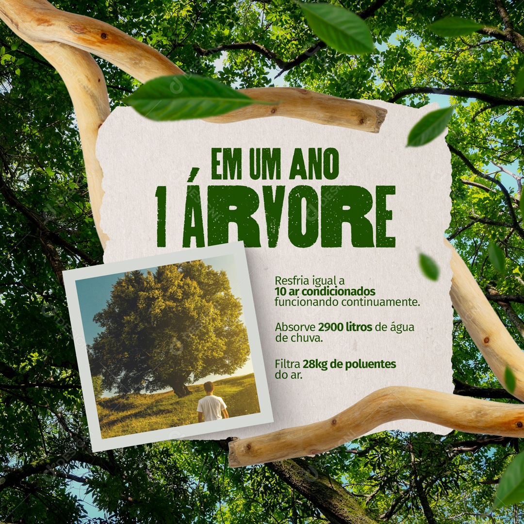 Preserve a Natureza! Sustentabilidade e Meio Ambiente Social Media PSD Editável