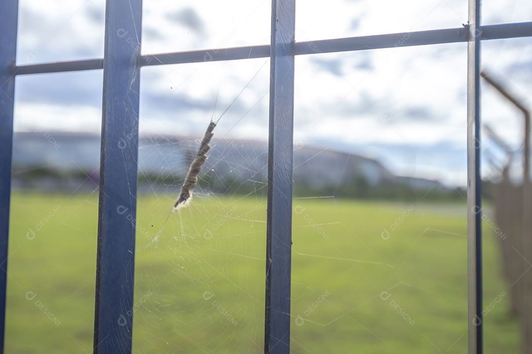 Sirius brasileiro acelerador de partículas que fica em barão geraldo que é distrito de campinas-sp.