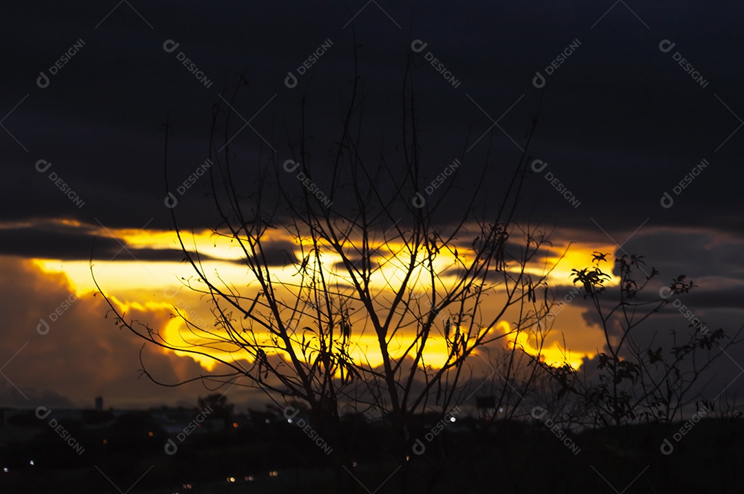 Galhos de trigo com pôr do sol ao fundo, céu totalmente laranja, conceito de hora de ouro.